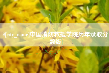 黔南中国消防救援学院历年录取分数线