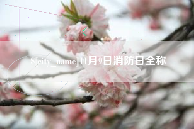 黔南11月9日消防日全称