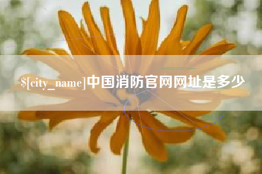 黔南中国消防官网网址是多少