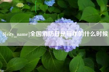 黔南全国消防日是每年的什么时候