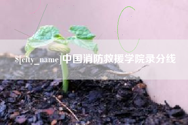 黔南中国消防救援学院录分线