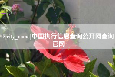 黔南中国执行信息查询公开网查询官网