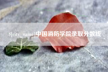黔南中国消防学院录取分数线