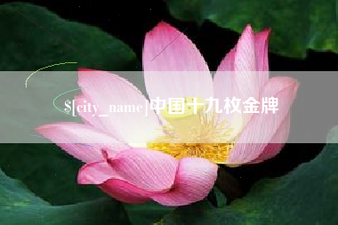 黔南中国十九枚金牌