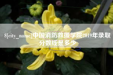 黔南中国消防救援学院2019年录取分数线是多少