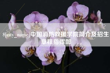 黔南中国消防救援学院简介及招生章程指挥部