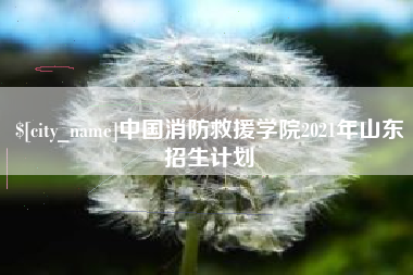 黔南中国消防救援学院2021年山东招生计划
