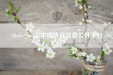 黔南中国执行信息公开平台
