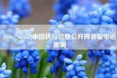 黔南中国执行信息公开网客服电话查询