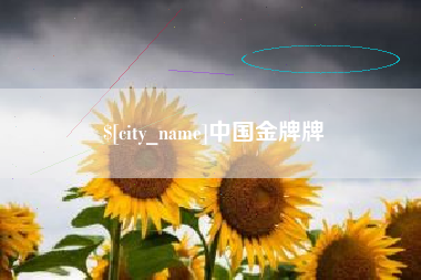 黔南中国金牌牌