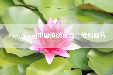 黔南中国消防官方二维码图片