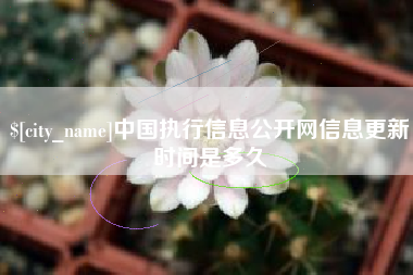 黔南中国执行信息公开网信息更新时间是多久