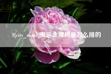 黔南奥运金牌榜是怎么排的