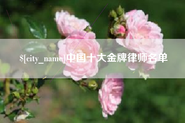黔南中国十大金牌律师名单