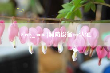 黔南消防设备ccc认证