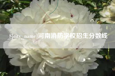 黔南河南消防学校招生分数线