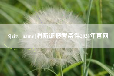 黔南消防证报考条件2024年官网