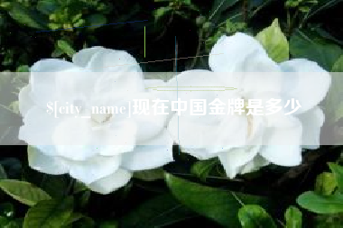 黔南现在中国金牌是多少