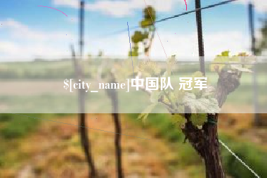 黔南中国队 冠军