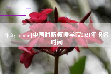 黔南中国消防救援学院2021年报名时间