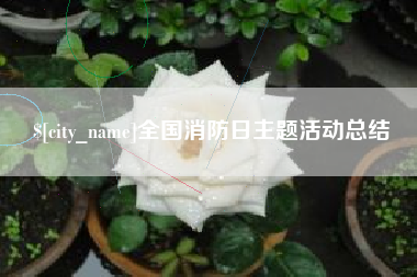 黔南全国消防日主题活动总结