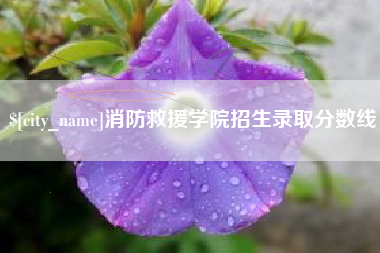 黔南消防救援学院招生录取分数线