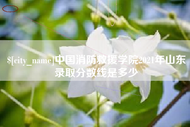 黔南中国消防救援学院2021年山东录取分数线是多少