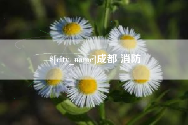 黔南成都 消防