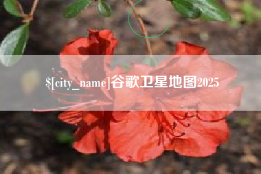 黔南谷歌卫星地图2025