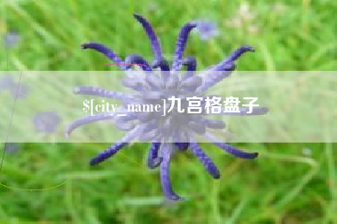 黔南九宫格盘子