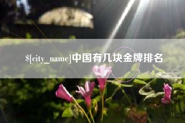 黔南中国有几块金牌排名