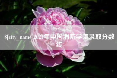 黔南2021年中国消防学院录取分数线