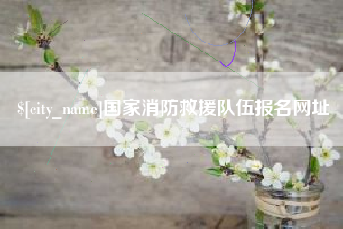 黔南国家消防救援队伍报名网址