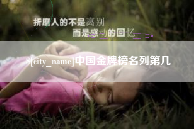 黔南中国金牌榜名列第几