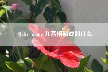 黔南九宫格游戏叫什么