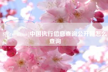 黔南中国执行信息查询公开网怎么查询