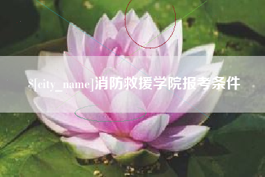 黔南消防救援学院报考条件