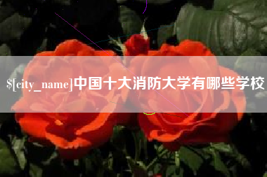 黔南中国十大消防大学有哪些学校