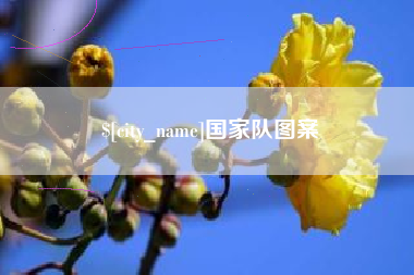 黔南国家队图案
