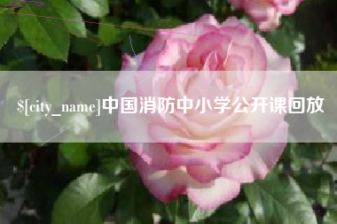 黔南中国消防中小学公开课回放