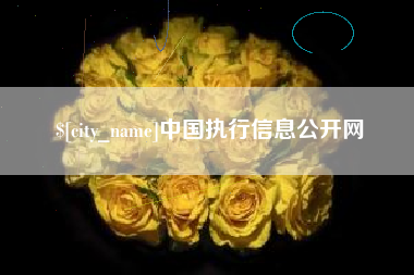 黔南中国执行信息公开网