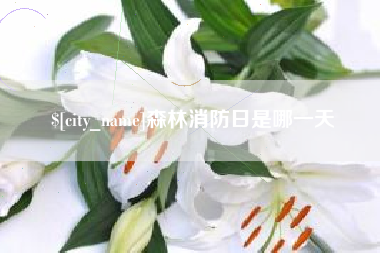 黔南森林消防日是哪一天