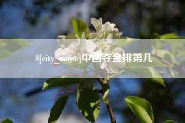黔南中国夺金排第几