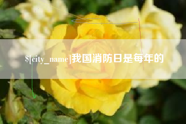黔南我国消防日是每年的