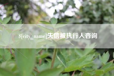 黔南失信被执行人杳询
