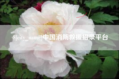 黔南中国消防救援招录平台