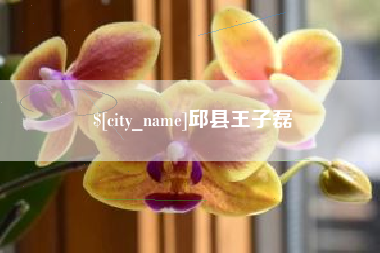 黔南邱县王子磊