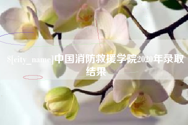 黔南中国消防救援学院2020年录取结果
