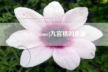黔南九宫格的来源