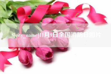 黔南11月9日全国消防日图片